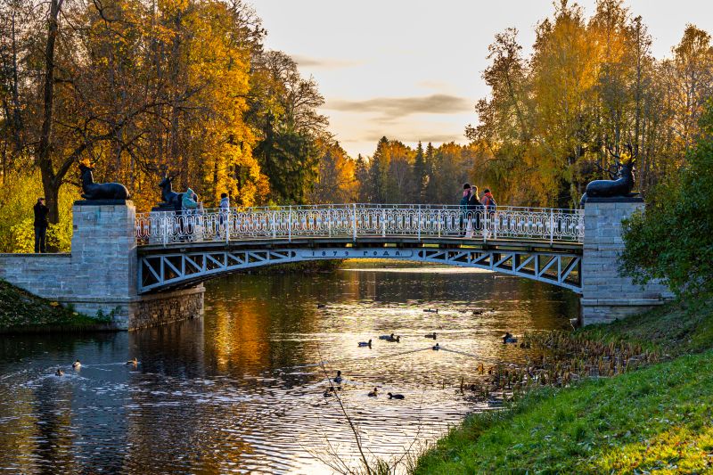 Приглашаем в роуд-шоу «Добро пожаловать в Санкт-Петербург!» по городам Российской Федерации (Пенза, Саратов, Самара, Уфа)